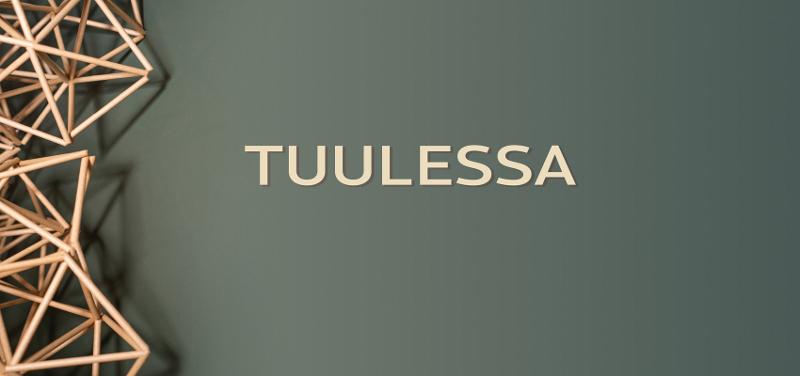 Tuulessa plakatbilde KARUSELL.jpg